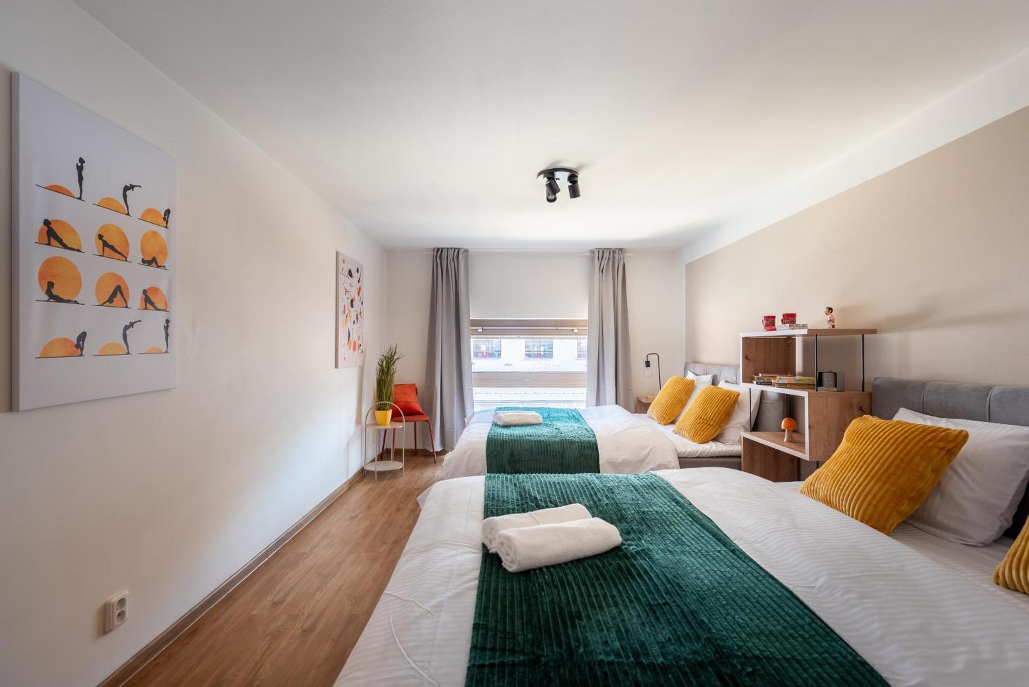 Spacious Near Karlin Square Appartement *