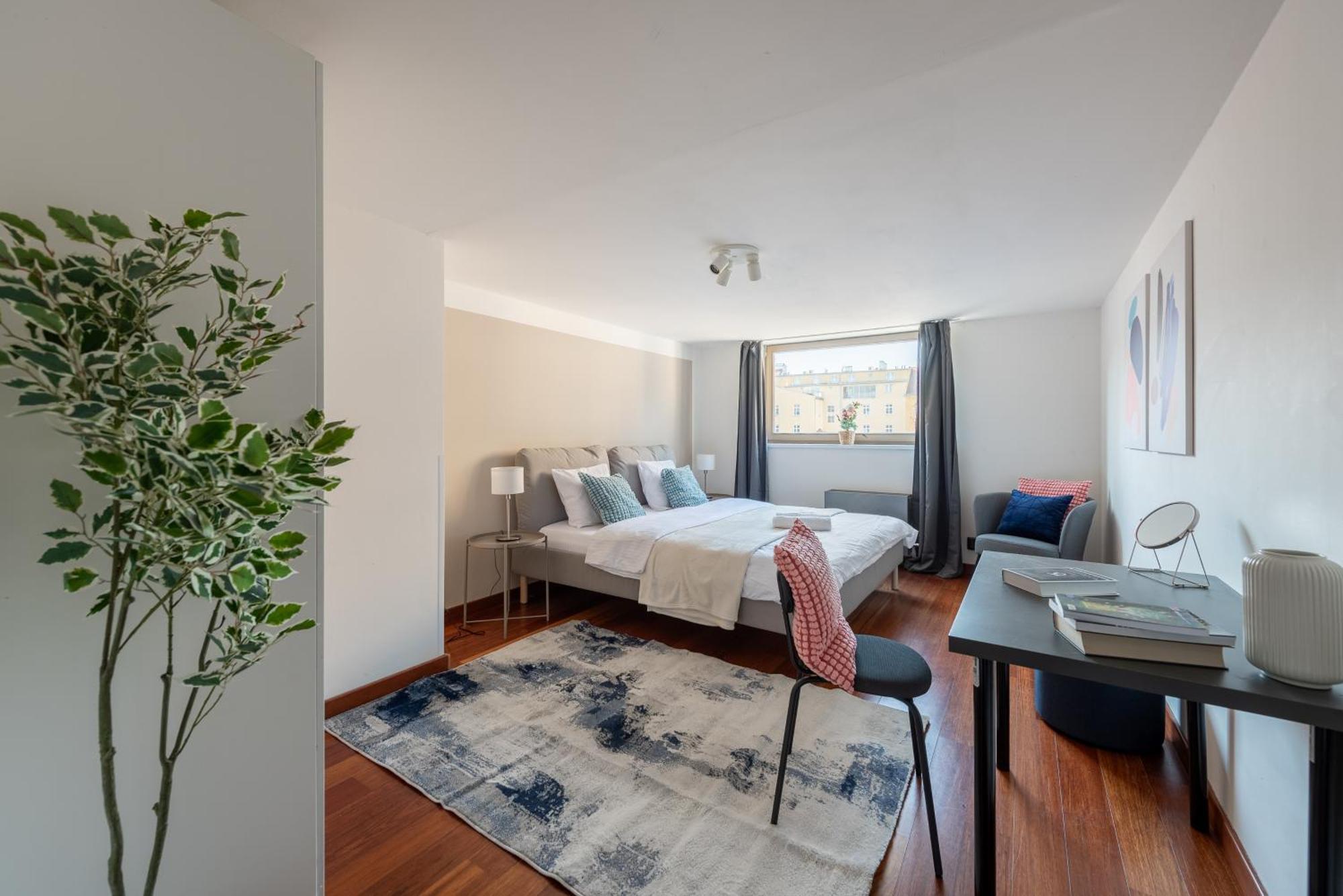 Spacious Near Karlin Square Appartement